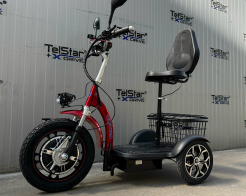 Електрическа триколка с равна платформа и облегалка TS 200.3 48V 750W снимка 26