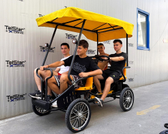 Електрическа рикша с педали Tourist-4 23Ah без регистрация снимка 253