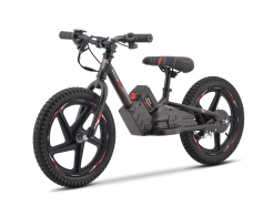 Детски електрически баланс байк TELSTAR Balance Pro 500W – големи гуми, 3 скорости снимка 304